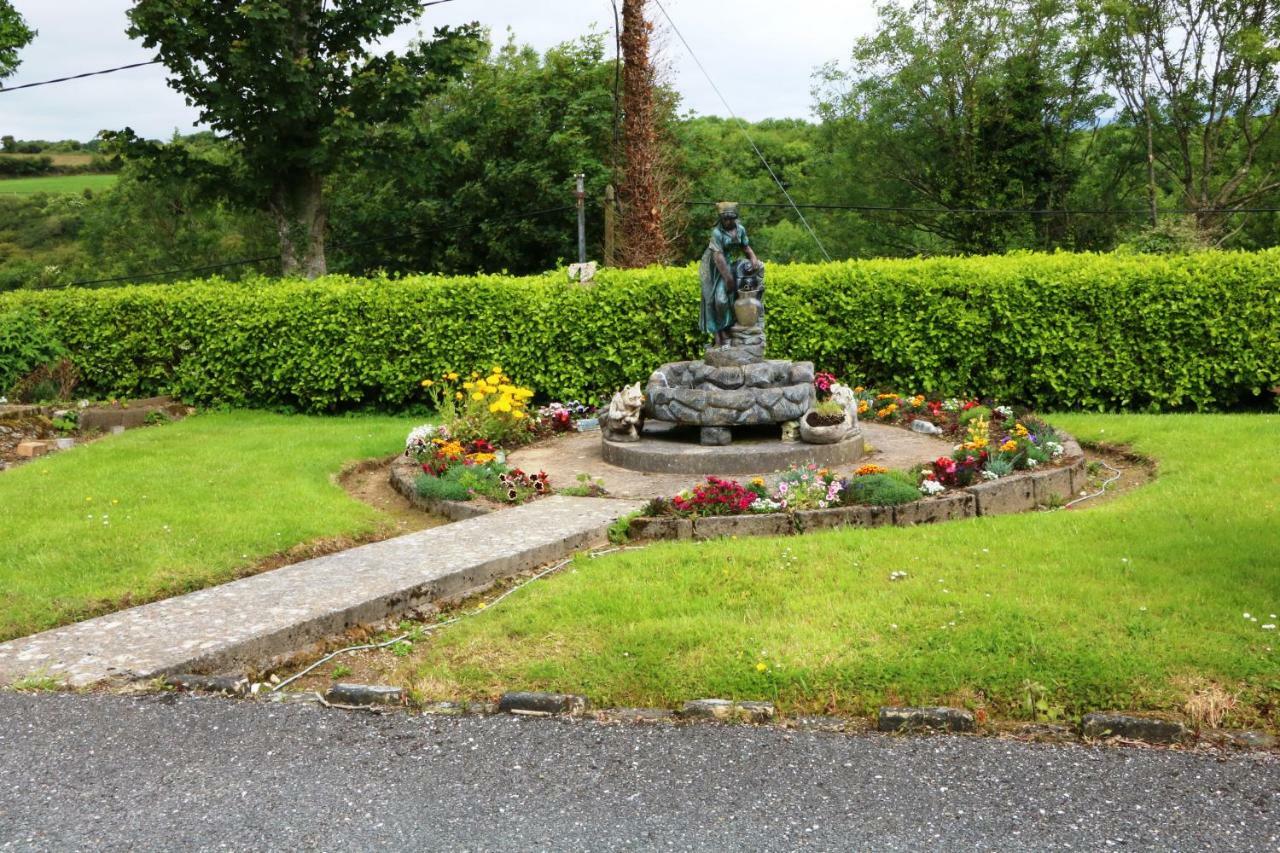 Comeragh View Dungarvan  Bagian luar foto